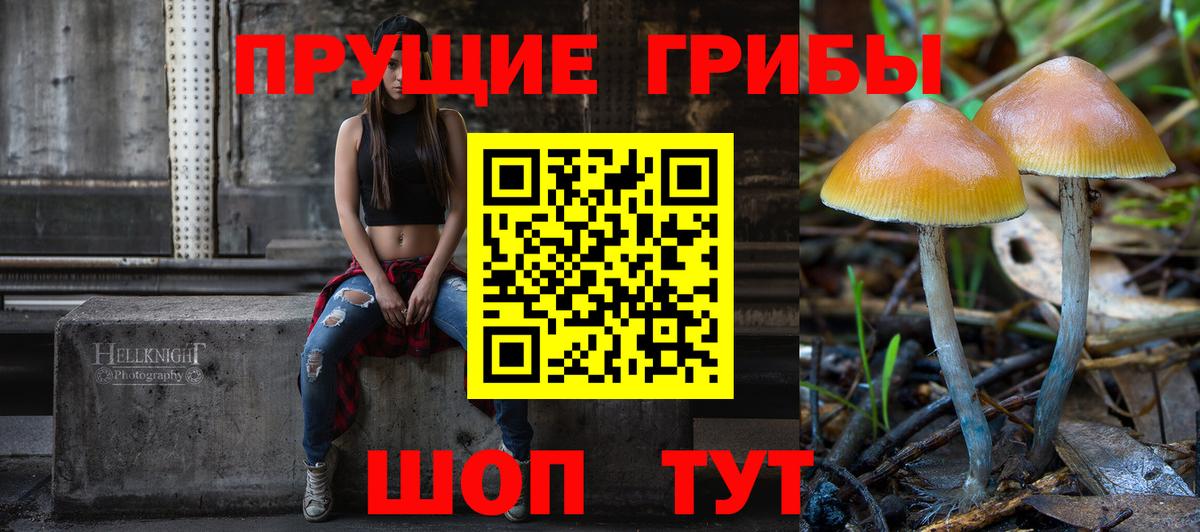 Кольчугино  Галлюциногенные грибы Psilocybe  Псилоцибиновые грибы ЛСД  Вход с VPN 
